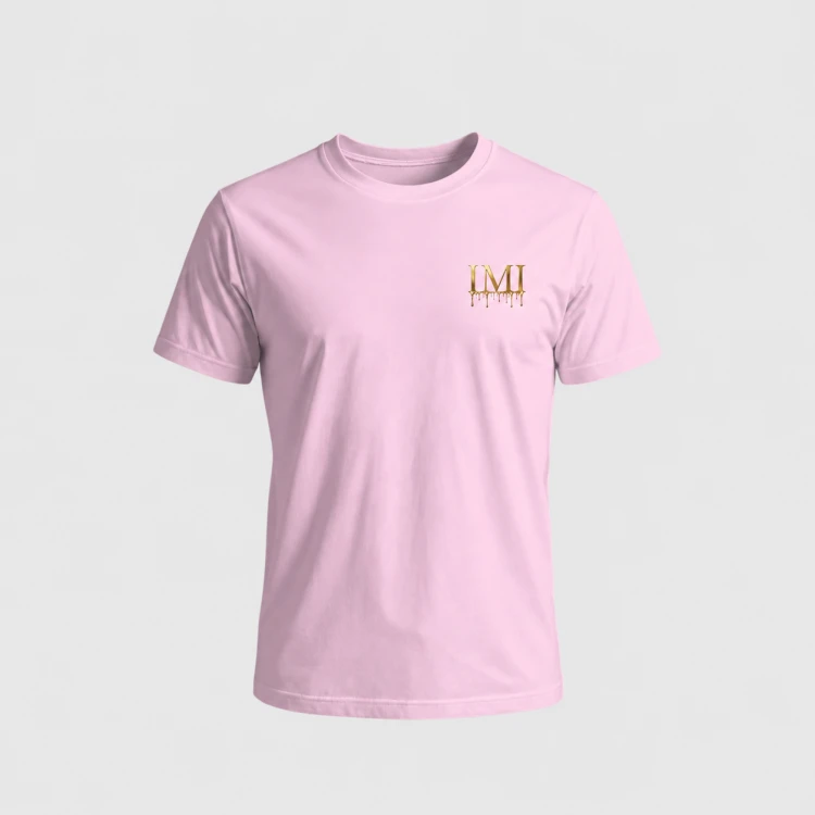 IMI_statek2pink.png