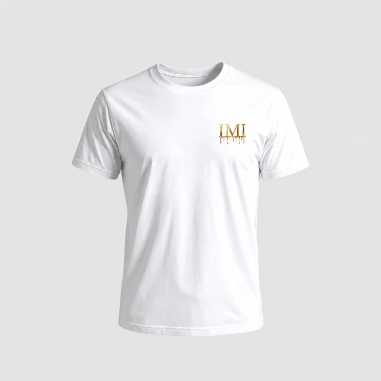 IMI_statek2white.png